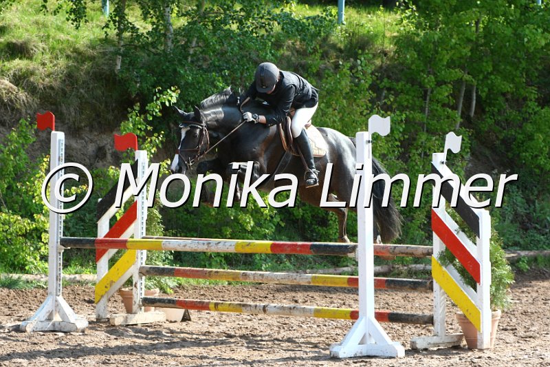 104M7874_Spring A.JPG